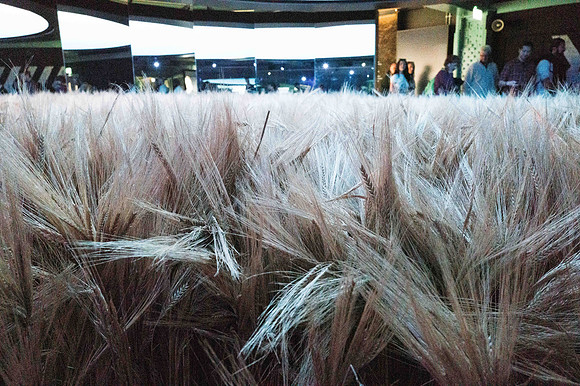 untitled-1000212