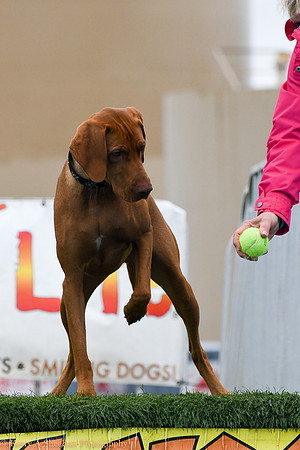 Wags-0977