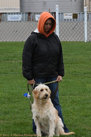 Wags-0913