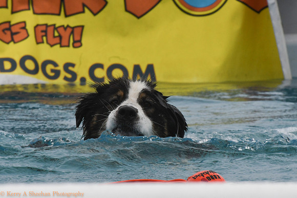Wags-0954