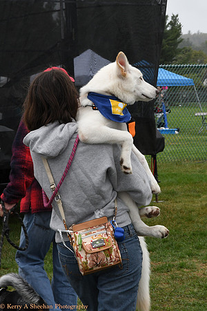 Wags-1078