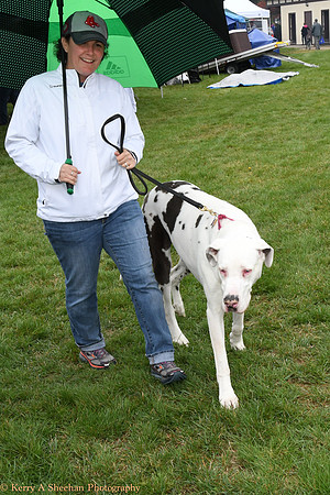 Wags-1129