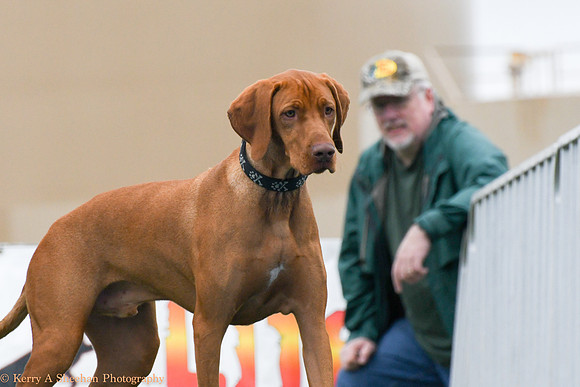 Wags-0983