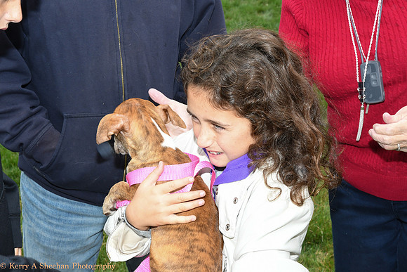 Wags-1073