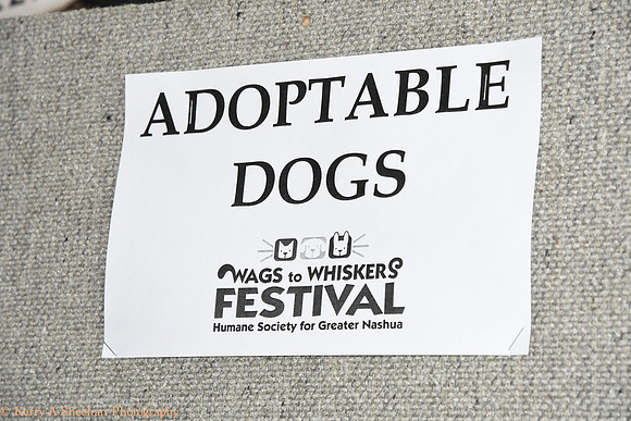 Wags-1071