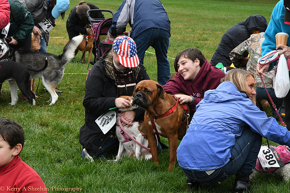 Wags-1241