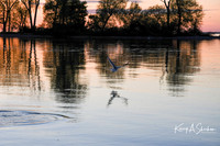 KAS_3748