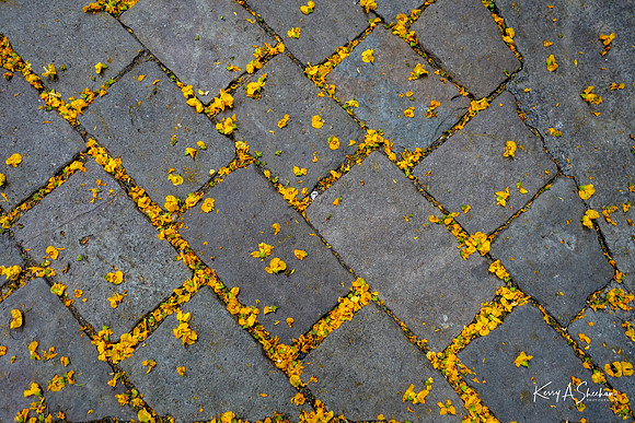 Barcelona-01403