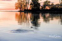 KAS_3746