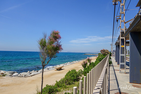 Barcelona-01593