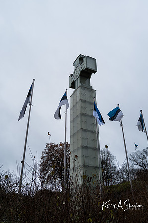 Finland_Estonia_Iceland 2026-1000151