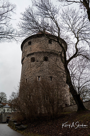Finland_Estonia_Iceland 2026-1000152