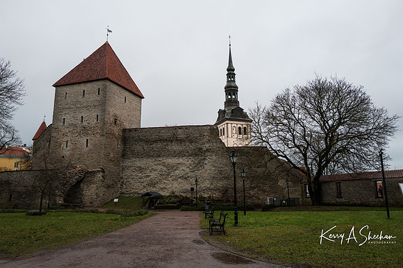Finland_Estonia_Iceland 2026-1000154