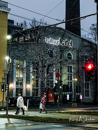 Finland_Estonia_Iceland 2026-2992