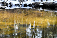 2019_03_09 Bertozzi Trails Groton-8005