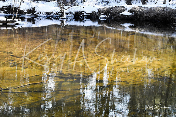 2019_03_09 Bertozzi Trails Groton-8005