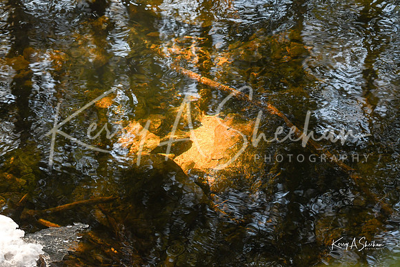 2019_03_09 Bertozzi Trails Groton-7952