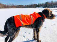 2019_02_17 Snow Shoeing Landscapes-2552