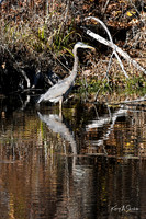 KAS_0678