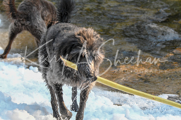 2019_03_09 Bertozzi Trails Groton-8041