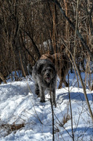 2019_03_09 Bertozzi Trails Groton-7976