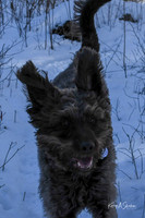 2019_03_09 Bertozzi Trails Groton-7986