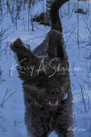 2019_03_09 Bertozzi Trails Groton-7986