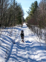 2019_02_17 Snow Shoeing Landscapes-2578
