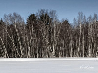 2019_02_17 Snow Shoeing Landscapes-2549