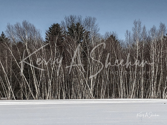2019_02_17 Snow Shoeing Landscapes-2549