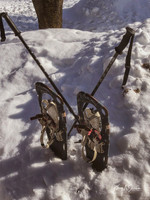 2019_02_17 Snow Shoeing Landscapes-2583