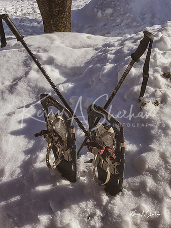 2019_02_17 Snow Shoeing Landscapes-2583