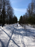 2019_02_17 Snow Shoeing Landscapes-2575