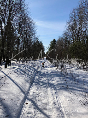 2019_02_17 Snow Shoeing Landscapes-2575