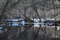 2019_03_09 Bertozzi Trails Groton-7969