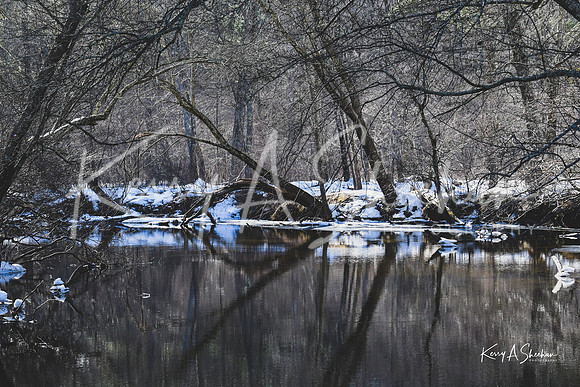 2019_03_09 Bertozzi Trails Groton-7969