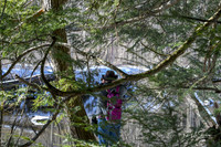 2019_03_09 Bertozzi Trails Groton-7974