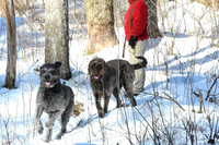 2019_03_09 Bertozzi Trails Groton-7988