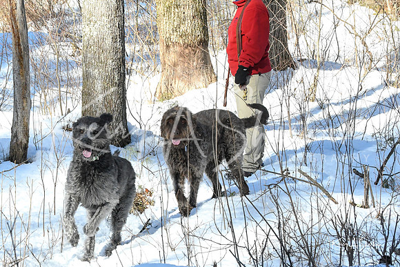 2019_03_09 Bertozzi Trails Groton-7988