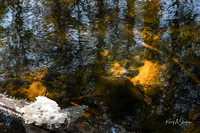 2019_03_09 Bertozzi Trails Groton-7953
