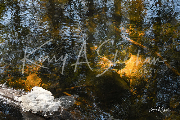 2019_03_09 Bertozzi Trails Groton-7953