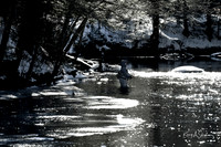 2019_03_09 Bertozzi Trails Groton-7955