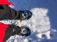 2019_02_17 Snow Shoeing Landscapes-2567