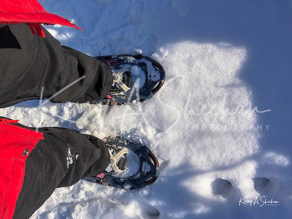 2019_02_17 Snow Shoeing Landscapes-2567
