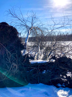 2019_02_17 Snow Shoeing Landscapes-2565