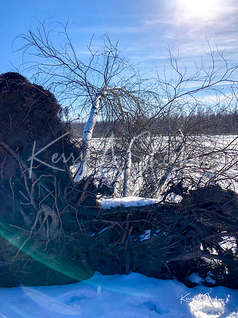 2019_02_17 Snow Shoeing Landscapes-2565