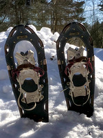 2019_02_17 Snow Shoeing Landscapes-2582