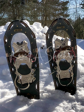 2019_02_17 Snow Shoeing Landscapes-2582