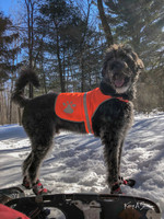 2019_02_17 Snow Shoeing Landscapes-2569