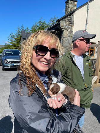 Iphone Ireland-0878